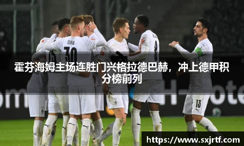 霍芬海姆主场连胜门兴格拉德巴赫，冲上德甲积分榜前列