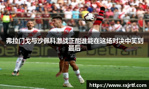 esball网址